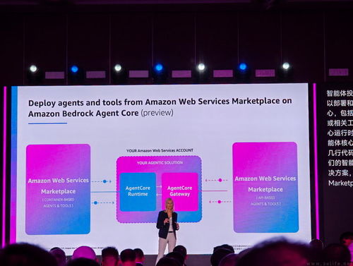 企業級軟件商店 亞馬遜云科技引領軟件開發新趨勢